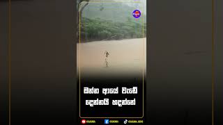 ඔන්න ආයේ වැඩේ දෙන්නයි හදන්නේ