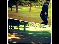 LA MIRADA DISC GOLF COURSE. BACK 18,HOLE 5,TWO DIFFERENT LINES,DISCRAFT ESP ZEUS,DISCRAFT Z FORCE