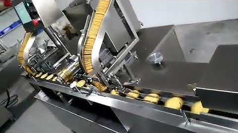 cracker flow wrapper with auto feeder automatic flow wrappimng machine for crackers cookies