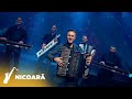 Răzvan Todea - Instrumentală Sârbească 2023