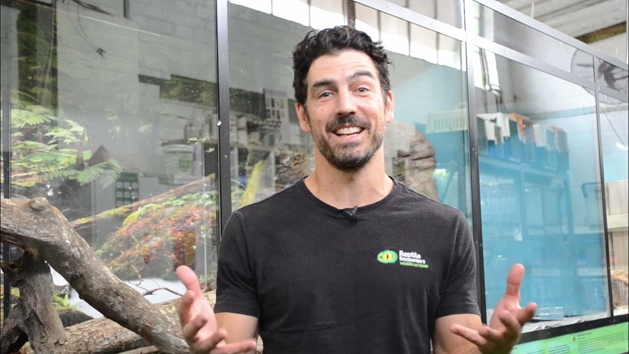 What does Reptile Encounters Do? - YouTube