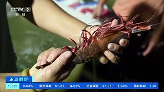 [正点财经]广西合浦：开渔后首批海鲜上岸| 财经风云