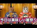 猫たちのひな祭りの一日はやはり食べることがお祭りになるのでした