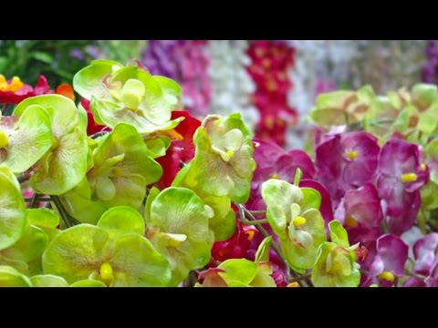 Посылка из Китая #70. Искусственные Цветы Посылка из Китая #70. Искусственные Цветы