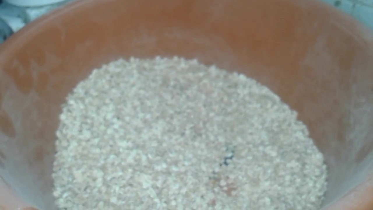 افضل تركيبة علف للميل ورم (دود القبابى)لزيادة الانتاج من 20 الى25 فى الكيلو الواحد مع كرم النجار