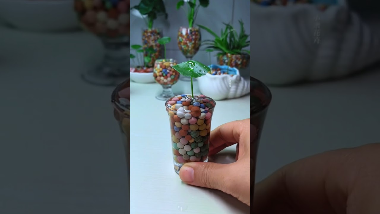 Garden flowers plants flower in cup water amazing #chocolate #vegan #viralvideo #video #2025
