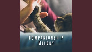 Harmony for Happy Pets