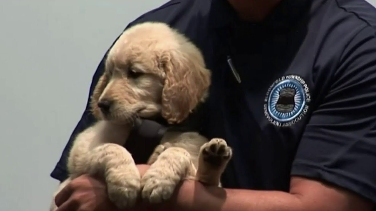 News Brief, 7/14/2021, 6 p.m. Update