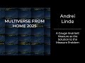 Andrei Linde - A Gauge Invariant Measure as the Solution to the Measure Problem