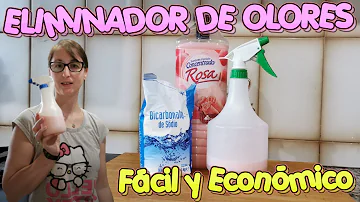 ¿Cómo hacer un eliminador de olores natural?