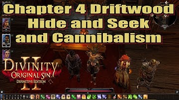 Divinity Original Sin 2 Definitive Edition Chapter 4 Driftwood Hide and Seek plus more