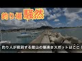 釣り人が殺到する館山の爆沸き釣りスポット2選はここ!
