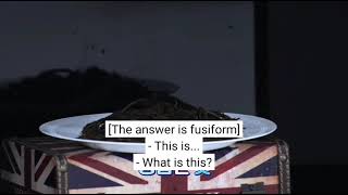 Just Sua And Siyeon Moment In The End Of Dcmind