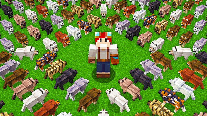 ADOTEI TODOS OS NOVOS LOBOS do MINECRAFT 1.21