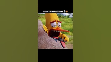 Chuck and Bomb Reaction 💀🔥 | Angry birds edit | #shorts #edit  |