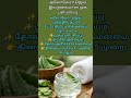 அலோவேரா ஜெல் – இயற்கையான முக பளபளப்பு #AloeVera#NaturalSkincare#FaceGlow#TamilBeauty#SkinCareTamil