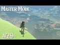 FROM THE GROUND UP: Zelda BotW MASTER MODE #29