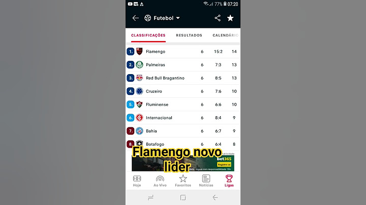 Flamengo ultrapassou o PALMEIRAS e é o novo líder do brasileirão