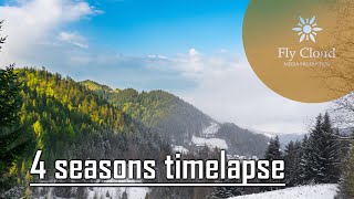 Four seasons timelapse