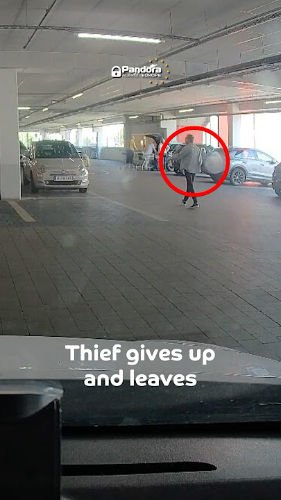 🚨 Real car theft attempt. ✅ Pandora instantly triggered the alarm. #crime #carcrime #pandora #alarm