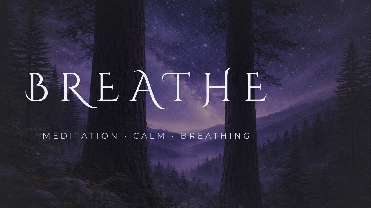 Meditative Ambient (No Vocals) | BREATHE - Space Ambient - Forest Overlook [Calm Mode]