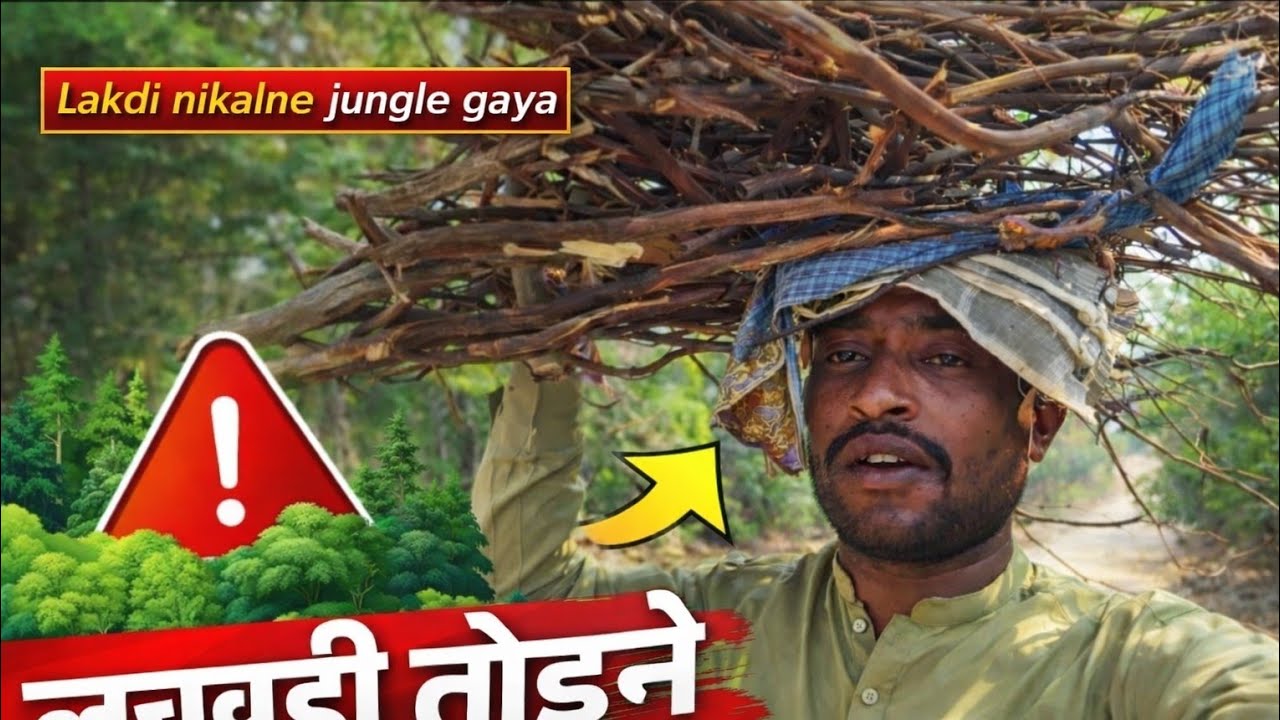 Сегодня я отправился в лес домой.