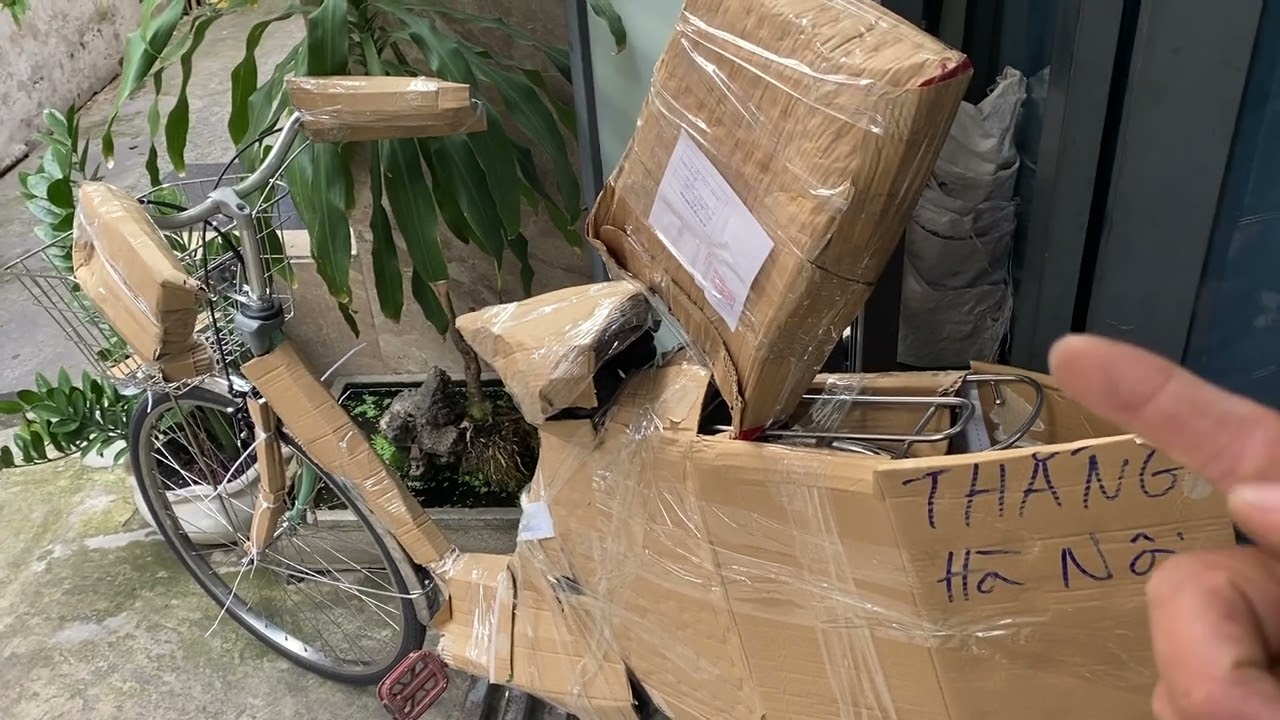 Xe đạp điện trợ lực PANASONIC và YAMAHA có tay ga ?? bắt nguồn từ đâu ??