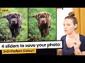 Understanding White Balance in Photography