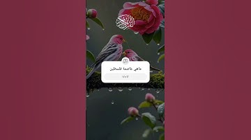 #سورة_مريم #قرآن #اكسبلور #المصحف #tiktok #دويتو #duet #راحة_نفسية #تيك_توك #quran