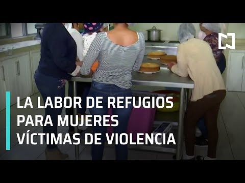 Video: Refugios Seguros Para Mascotas De Mujeres Maltratadas