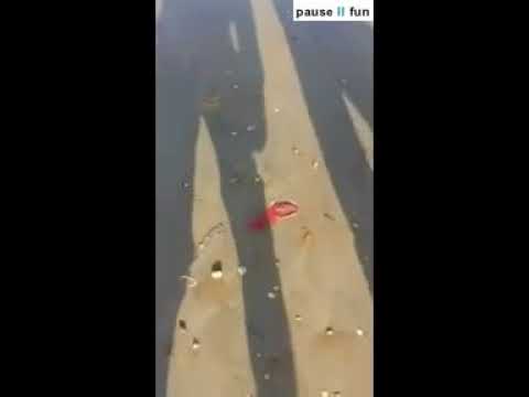 شوهة وفضيحة في شاطئ أكادير