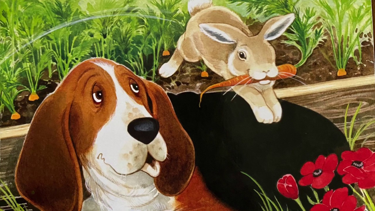 Charlie The Ranch Dog | Charlie’s New Friend | BrainTots - YouTube