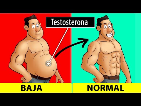 7 Comidas para