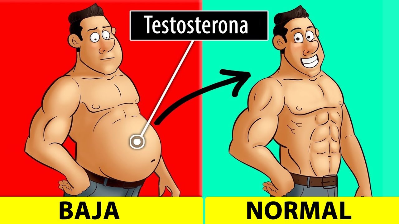 Como bajar la testosterona