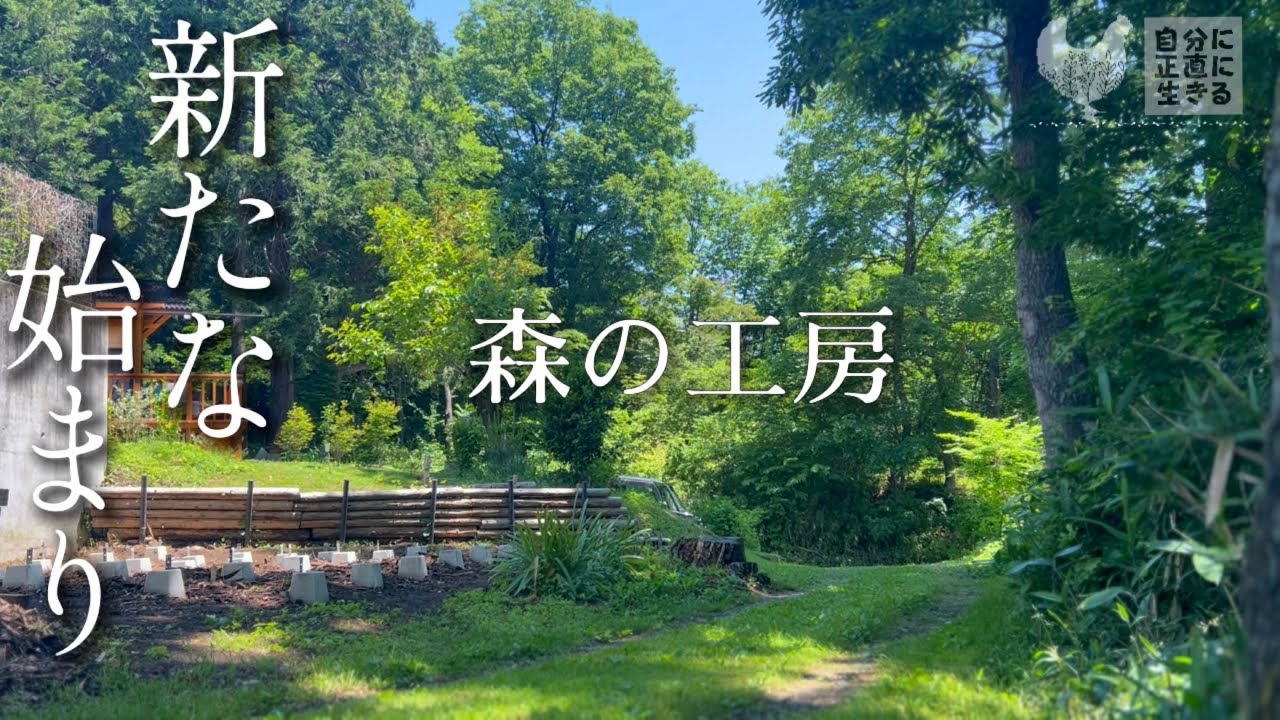 新プロジェクト！【森の中に工房を作る】昔の映像が衝撃的！竹藪から工房へのプロローグ/庭の筍/チョコプリン