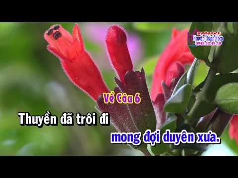 Karaoke Tân cổ THƯƠNG NHỚ NGƯỜI DƯNG - [ KTNha 