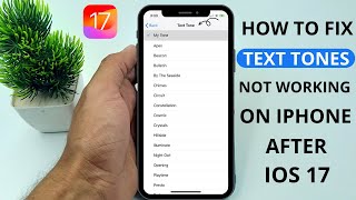 How to Fix Text Tones Not Working After iOS 17/17.2 Update screenshot 5