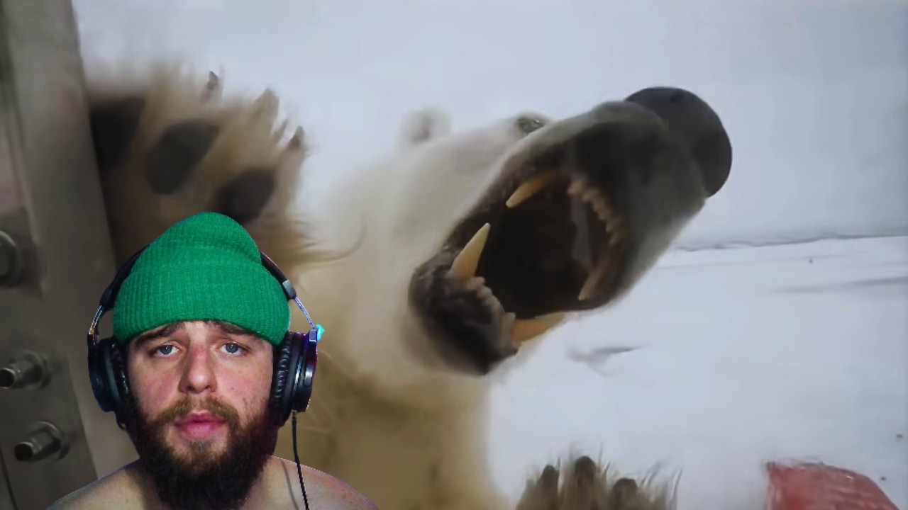 WOW! Incredible footage of cameraman and hungry polar bear *REACTION*