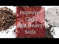 Effective Soil Improvement Techniques: Understanding Soil Composition and Key Amendments