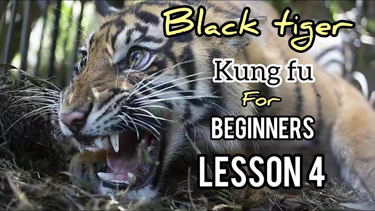 Black tiger Kung fu tutorial for beginners / step by step for basics