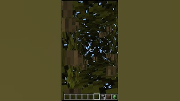 Geheimer MINECRAFT TRICK #shorts #minecraft #gaming #commands #tutorial #viral