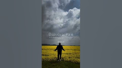 أكتب شيء تؤجر عليه💚القارئ إسلام صبحي #quran #اكسبلور #لايك