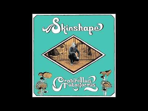 Skinshape - Quiet (Official Audio)