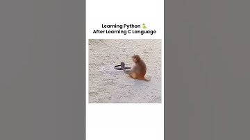 Learning python after C. #shorts #python #C #codewithharry #memes #coding #programming