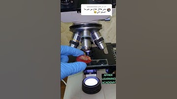 why we need Apple 🍏 to clean / microscopic view of apple "Microorganisms"