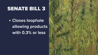 Texas Legislature winding down: What bills are at stake?