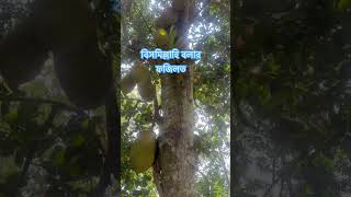 বিসমিল্লাহি বলার ফজিলত #liyauniversal #share #shorts #asia #allahuakbar #shorts #islamic