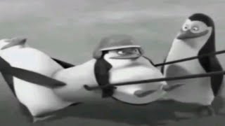 Top 5 Scary Madagaskar