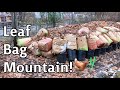 Chicken Compost - Leaf Bag Mountain and Rock Mulch working!