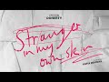 Pete Doherty: Stranger in My Own Skin 🎥